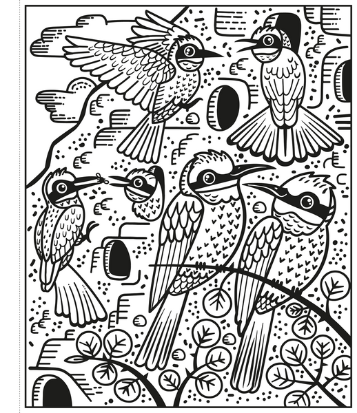 Birds Magic Painting Book : Usborne