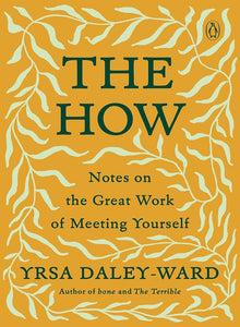 The How: Notes on the Great Work of Meeting Yourself cover image