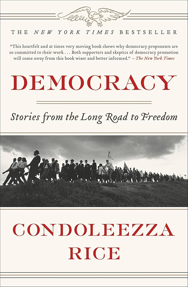 Democracy: Stories from the Long Road to Freedom cover image