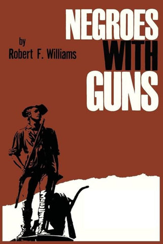 Negroes with Guns cover image
