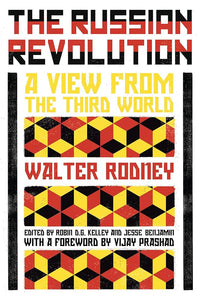 The Russian Revolution: A View from the Third World cover image