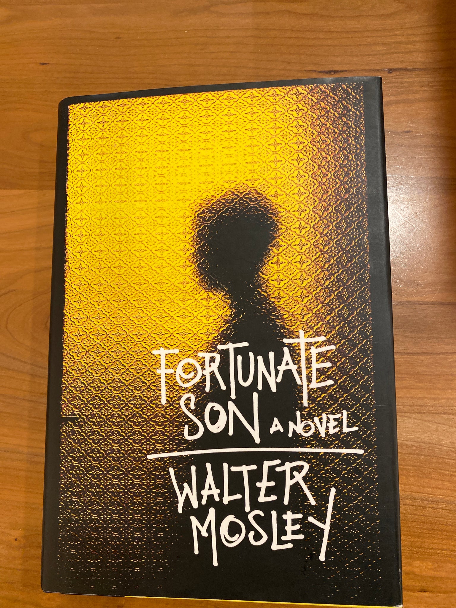 Fortunate Son: A Novel