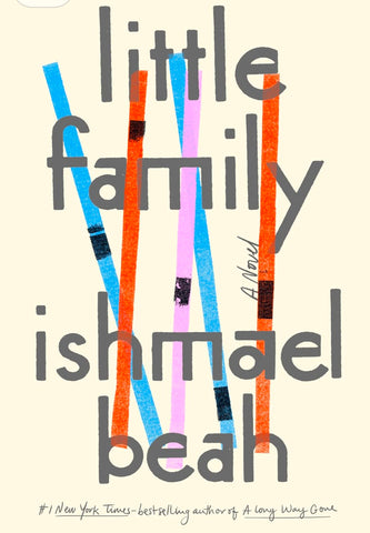 Little Family: A Novel