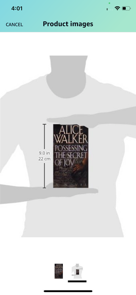 Alice Walker Possessing the secret of joy(Used)(Novel)