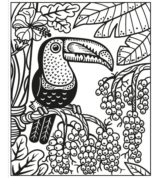 Birds Magic Painting Book : Usborne