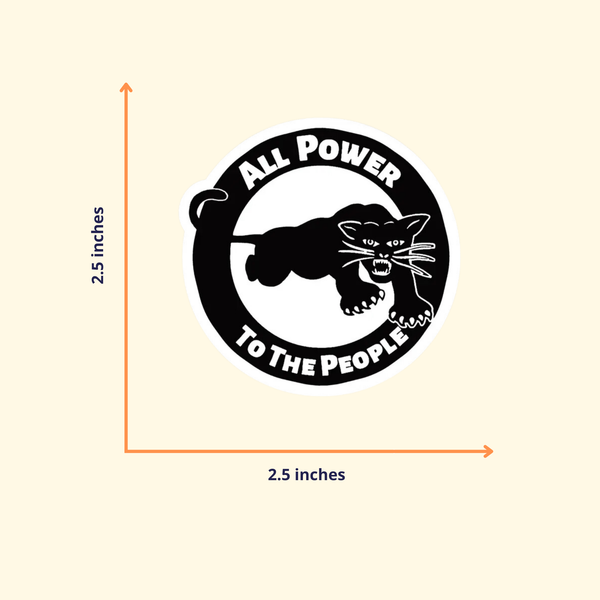 All Power Black Panther Stickers | Black Culture Activism