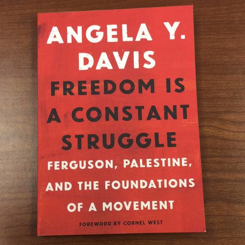 Freedom is a Constant Struggle: Ferguson, Palestine, and the Foundations of a Movement