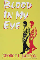 Blood In My Eye(Paperback)