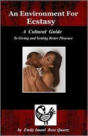 An Environment For Ecstasy: A Cultural Guide to Giving and Getting Better Pleasure(Paperback)