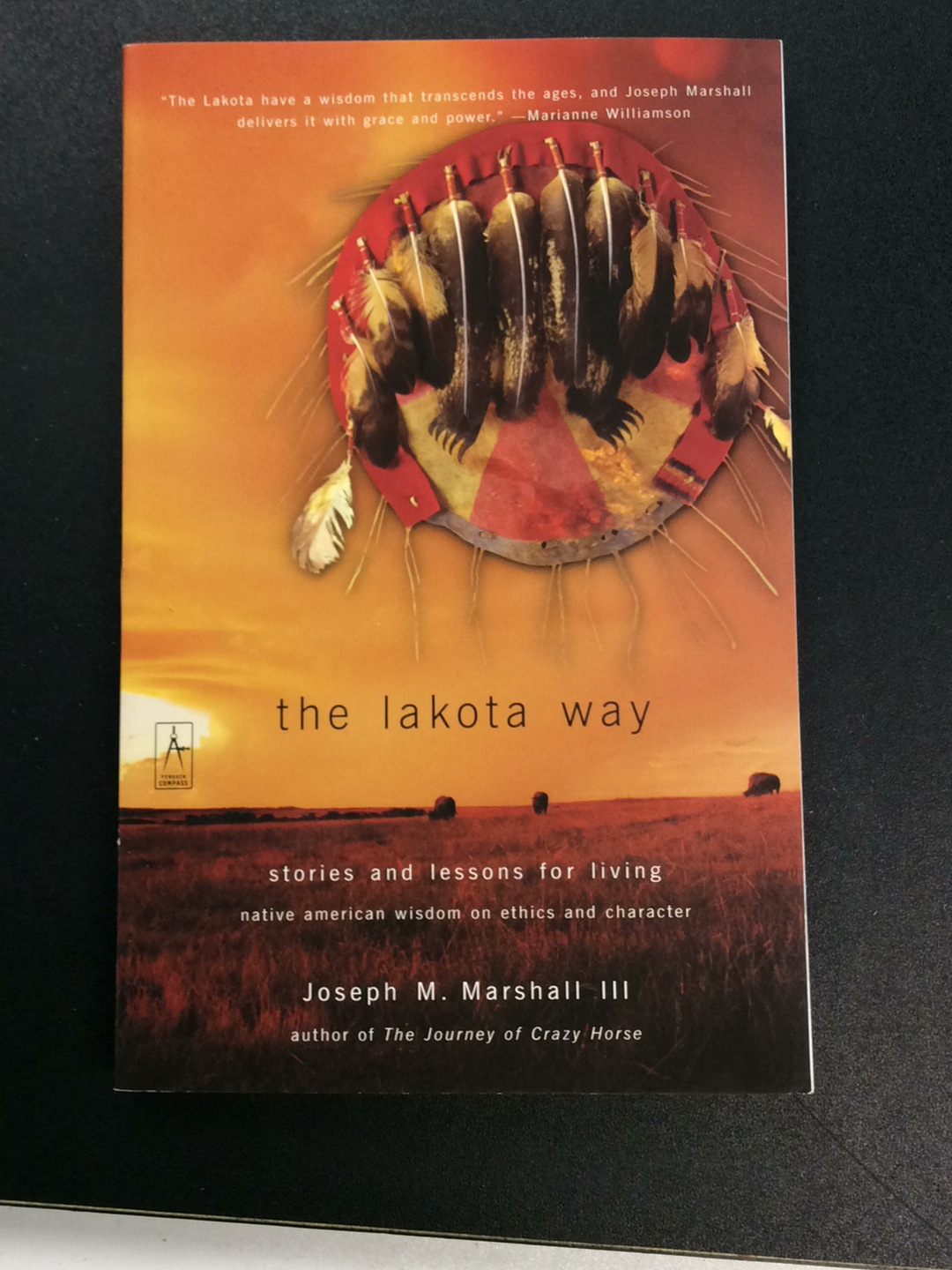 The Lakota Way: Stories and Lessons for Living Native American Wisdom on Ethics and Character