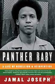 Panther Baby: A Life of Rebellion & Reinvention