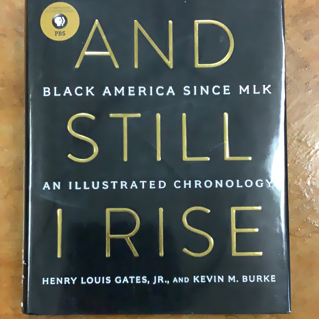 And Still I Rise: Black America Since MLK- An Illustrated Chronology