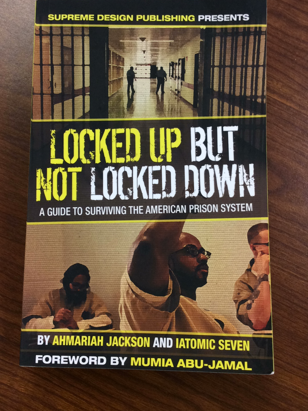 Locked Up but Not Locked Down: A Guide to Surviving the American Prison System(paperback)