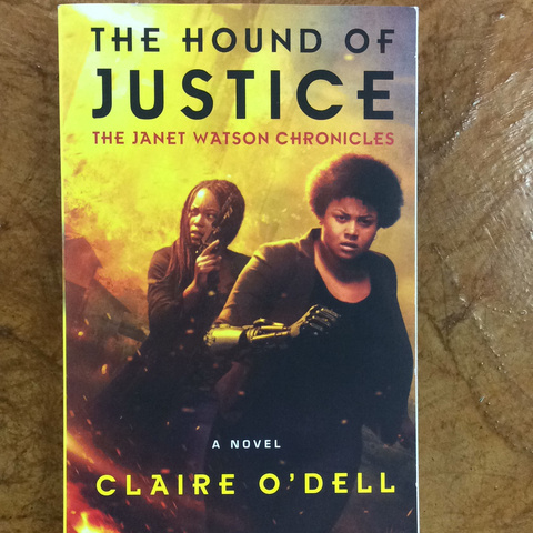 The Hound of Justice: A Novel(paperback)